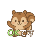 え？かわいくてちょっと面白いリススタンプ（個別スタンプ：1）