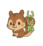 え？かわいくてちょっと面白いリススタンプ（個別スタンプ：4）