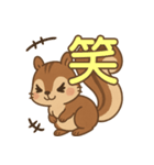え？かわいくてちょっと面白いリススタンプ（個別スタンプ：13）