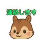 え？かわいくてちょっと面白いリススタンプ（個別スタンプ：16）