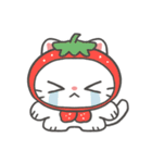 ちっちゃいねこのしろぽん（個別スタンプ：11）