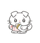 ちっちゃいねこのしろぽん（個別スタンプ：19）