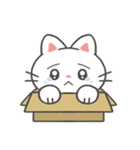 ちっちゃいねこのしろぽん（個別スタンプ：37）