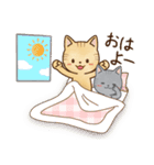 仲良しでキュートな猫のスタンプ 第1弾（個別スタンプ：1）