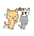 仲良しでキュートな猫のスタンプ 第1弾（個別スタンプ：14）