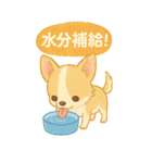 どうぶつ×たべものスタンプ（個別スタンプ：40）