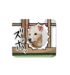 メンヘラスタンプ＆日常スタンプ♥こむぎ（個別スタンプ：1）