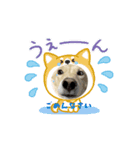 メンヘラスタンプ＆日常スタンプ♥こむぎ（個別スタンプ：4）