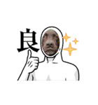 犬猫もろもろスタンプ（個別スタンプ：6）