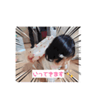 動くゆりぴ⭐（個別スタンプ：13）