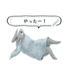 少年うさぎの冒険（個別スタンプ：3）