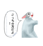 少年うさぎの冒険（個別スタンプ：5）