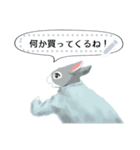 少年うさぎの冒険（個別スタンプ：7）