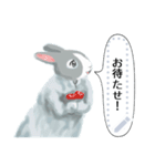 少年うさぎの冒険（個別スタンプ：8）