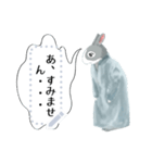 少年うさぎの冒険（個別スタンプ：16）