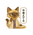 INTP（論理学者）×シャム猫スタンプ（個別スタンプ：15）