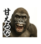 圧の強いウザゴリラ【煽り/面白い】（個別スタンプ：4）