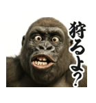 圧の強いウザゴリラ【煽り/面白い】（個別スタンプ：13）