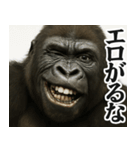 圧の強いウザゴリラ【煽り/面白い】（個別スタンプ：16）