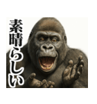 圧の強いウザゴリラ【煽り/面白い】（個別スタンプ：20）