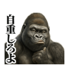 圧の強いウザゴリラ【煽り/面白い】（個別スタンプ：28）