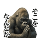 圧の強いウザゴリラ【煽り/面白い】（個別スタンプ：30）