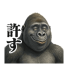 圧の強いウザゴリラ【煽り/面白い】（個別スタンプ：31）