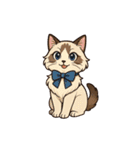 猫の子1（文字なし）（個別スタンプ：6）