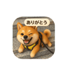 豆柴ももさく（個別スタンプ：27）