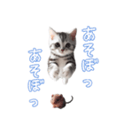 AIアメリカンショートヘアー（個別スタンプ：3）