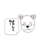 2匹の犬の楽しいメッセージスタンプ（1)（個別スタンプ：3）
