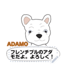 2匹の犬の楽しいメッセージスタンプ（1)（個別スタンプ：11）