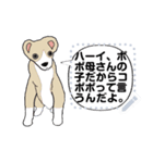 2匹の犬の楽しいメッセージスタンプ（1)（個別スタンプ：12）