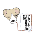 2匹の犬の楽しいメッセージスタンプ（1)（個別スタンプ：16）