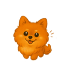 色々 ポメラニアン（個別スタンプ：1）