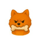 色々 ポメラニアン（個別スタンプ：5）