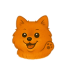 色々 ポメラニアン（個別スタンプ：8）