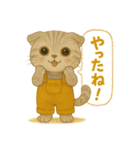 ISFP（冒険家）×スコティッシュフォールド（個別スタンプ：7）