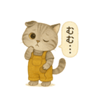 ISFP（冒険家）×スコティッシュフォールド（個別スタンプ：8）