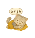 ISFP（冒険家）×スコティッシュフォールド（個別スタンプ：10）