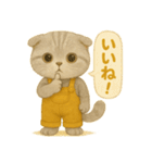 ISFP（冒険家）×スコティッシュフォールド（個別スタンプ：11）