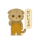 ISFP（冒険家）×スコティッシュフォールド（個別スタンプ：14）