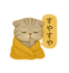 ISFP（冒険家）×スコティッシュフォールド（個別スタンプ：16）