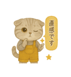 ISFP（冒険家）×スコティッシュフォールド（個別スタンプ：17）