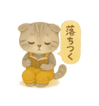 ISFP（冒険家）×スコティッシュフォールド（個別スタンプ：18）