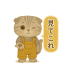 ISFP（冒険家）×スコティッシュフォールド（個別スタンプ：24）