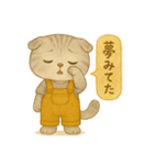 ISFP（冒険家）×スコティッシュフォールド（個別スタンプ：29）