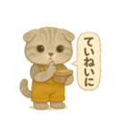 ISFP（冒険家）×スコティッシュフォールド（個別スタンプ：30）