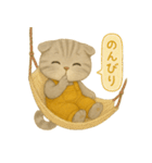ISFP（冒険家）×スコティッシュフォールド（個別スタンプ：36）
