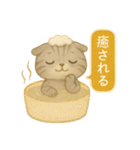ISFP（冒険家）×スコティッシュフォールド（個別スタンプ：39）